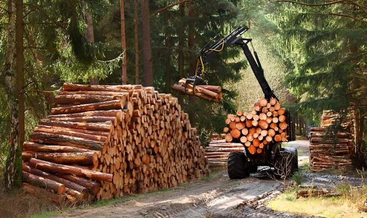 Services de Livraison de bois de chauffage Angers