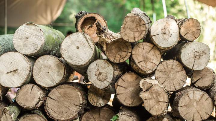 Fournisseur de bois de chauffage Angers