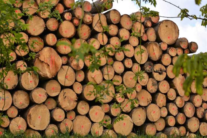 Livraison de bois de chauffage Angers